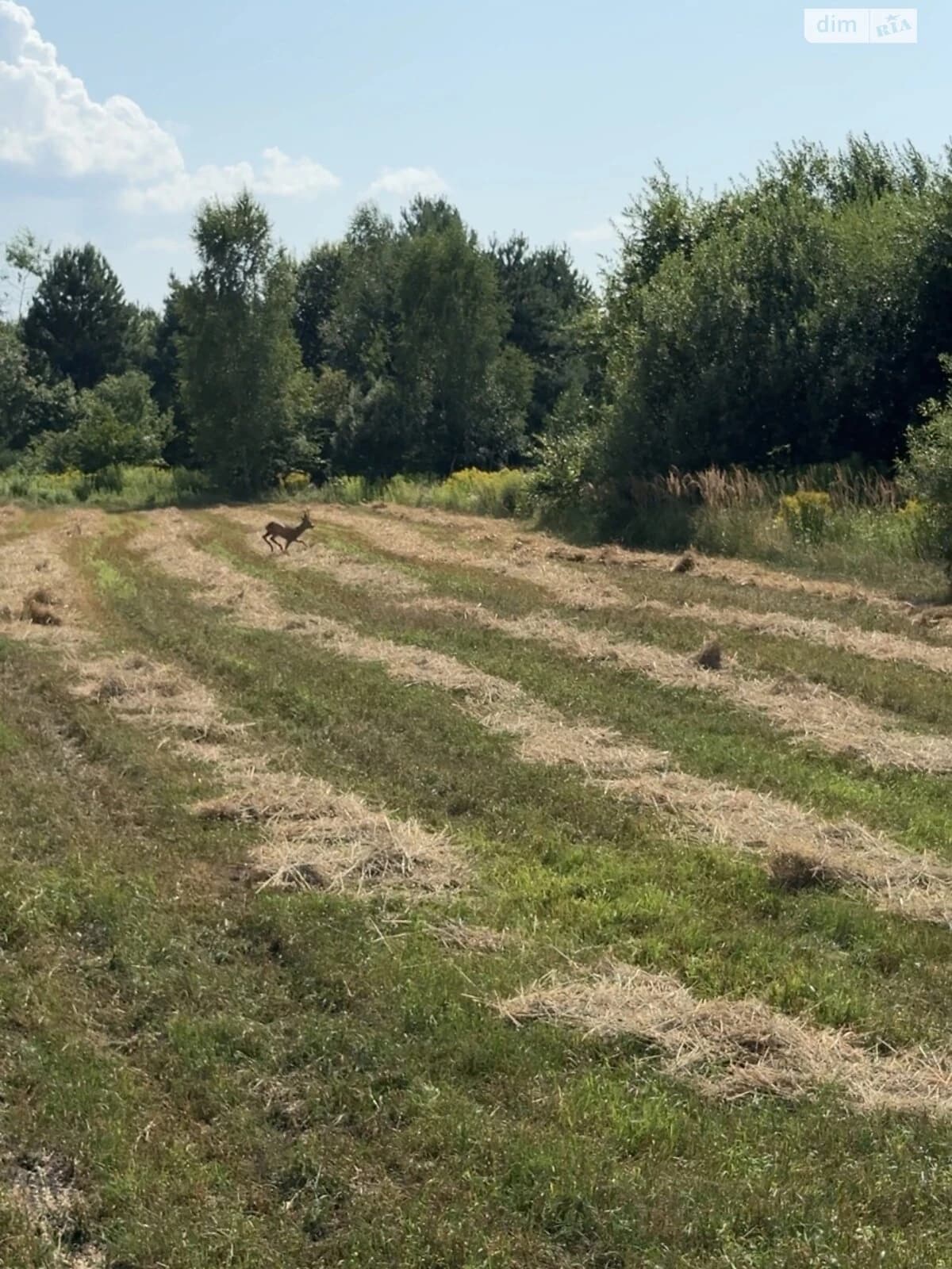 Ділянка 15 соток, Бірки: під житлову забудову, 50 на 30 - фото 1